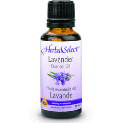 Lavender Essential Oil Online Hot Sale