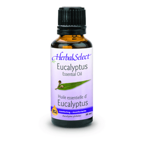 Eucalyptus Essential Oil Online Hot Sale