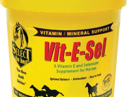 Richdel Inc - Vit-e-sel Vitamin & Mineral Supplement For Horses Fashion