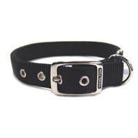 Hamilton Pet Company - Double Thick Nylon Dog Collar Fashion