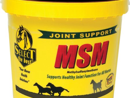 Richdel Inc - Msm Powder Joint Support For Horses Online now