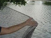 Dewitt Company          P - Pond Netting For Discount