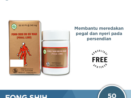 Fong Shih Hu Ku Wan (Obat Encok) Discount